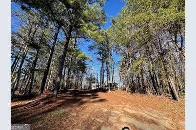 300 Dug Down Road, Buchanan, GA 30113 - Photo 27
