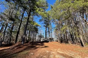 300 Dugdown Rd, Buchanan, GA 30113 - Photo 27