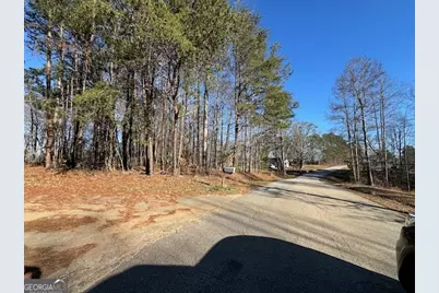300 Dug Down Road, Buchanan, GA 30113 - Photo 25
