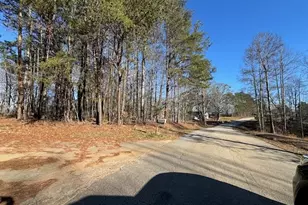 300 Dugdown Rd, Buchanan, GA 30113 - Photo 25