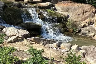 150 Ashley Dr, Fayetteville, GA 30214 - Photo 59