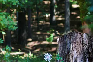 150 Ashley Dr, Fayetteville, GA 30214 - Photo 35