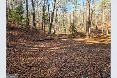 2226 Pickard Road, Thomaston, GA 30286 - Photo 23