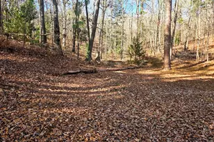 2226 Pickard Rd, Thomaston, GA 30286 - Photo 23