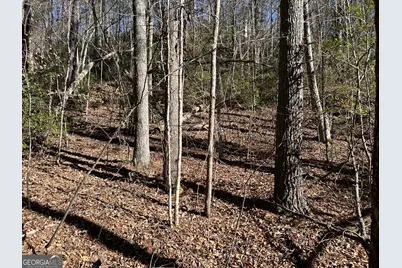 0 Twin River Orchard Road #TRACT 3, Demorest, GA 30535 - Photo 17