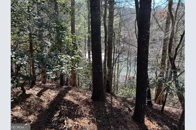 0 Twin River Orchard Road #TRACT 3, Demorest, GA 30535 - Photo 31