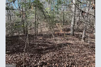 0 Twin River Orchard Road #TRACT 3, Demorest, GA 30535 - Photo 33