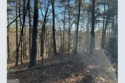0 Twin River Orchard Road #TRACT 4, Demorest, GA 30535 - Photo 1