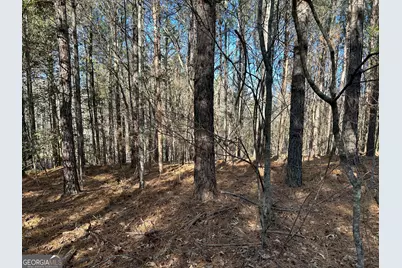 0 Twin River Orchard Road #TRACT 4, Demorest, GA 30535 - Photo 9