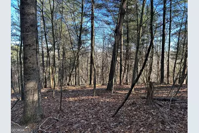 0 Twin River Orchard Road #TRACT 4, Demorest, GA 30535 - Photo 11