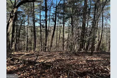 0 Twin River Orchard Road #TRACT 4, Demorest, GA 30535 - Photo 13