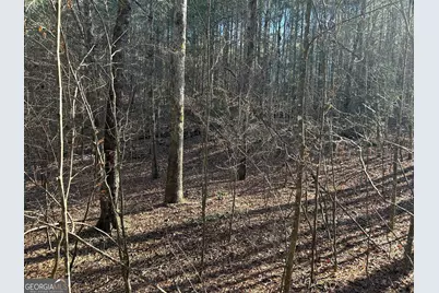 0 Twin River Orchard Road #TRACT 4, Demorest, GA 30535 - Photo 5