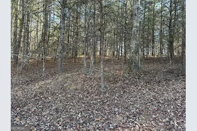 0 Twin River Orchard Road #TRACT 4, Demorest, GA 30535 - Photo 7