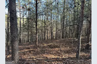 0 Twin River Orchard Road #TRACT 4, Demorest, GA 30535 - Photo 3