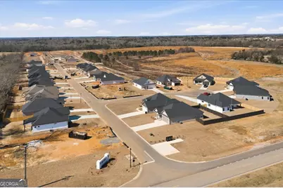 118 Early Drive, Byron, GA 31008 - Photo 59