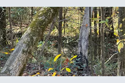 0 Deese Road #TRACT A, Ozark, AL 36360 - Photo 19