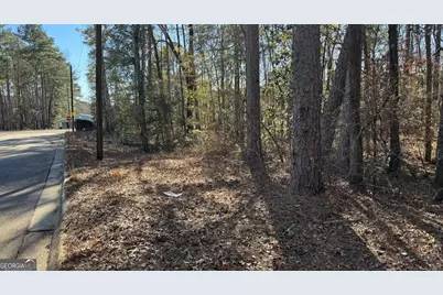 0 Deese Road #TRACT A, Ozark, AL 36360 - Photo 11