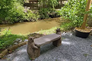 789 Old Mill Pond Rd, Mineral Bluff, GA 30559 - Photo 19