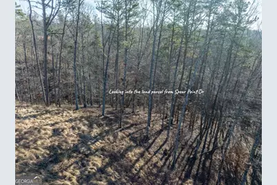 Lot 244 Spear Point Drive, Talking Rock, GA 30175 - Photo 15