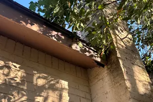 1009 W 52nd St, Savannah, GA 31405 - Photo 3