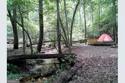 285 W0Lf Den Road, Royston, GA 30662 - Photo 47