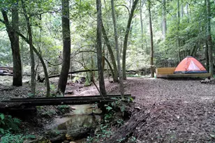 285 W0Lf Den Rd, Royston, GA 30662 - Photo 47