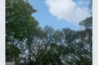 715 Frog Road, Locust Grove, GA 30248 - Photo 47