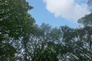 715 Frog Rd, Locust Grove, GA 30248 - Photo 47