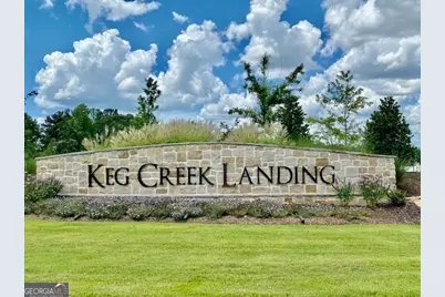 355 Werner Way, Senoia, GA 30276 - Photo 107