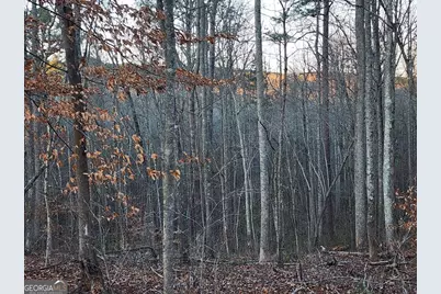 6720 Highway 382 W, Ellijay, GA 30540 - Photo 5