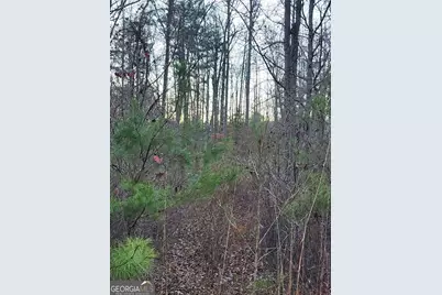 6720 Highway 382 W, Ellijay, GA 30540 - Photo 7