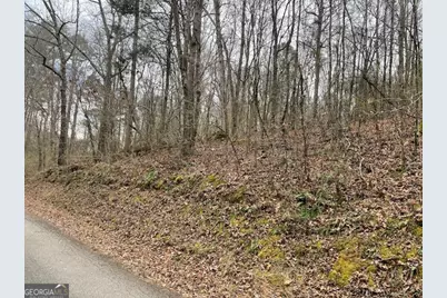 0 Wooten Lane, Chickamauga, GA 30707 - Photo 7