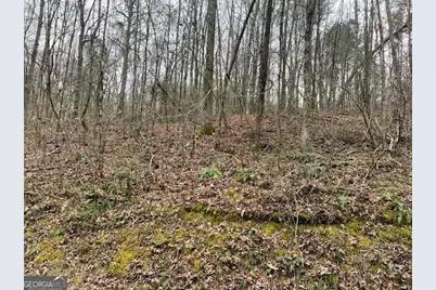 0 Wooten Lane, Chickamauga, GA 30707 - Photo 5