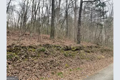 0 Wooten Lane, Chickamauga, GA 30707 - Photo 3