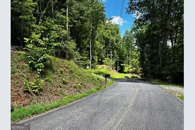 4395 White Oak Drive, Hiawassee, GA 30546 - Photo 33