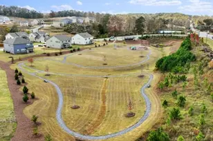 8740 Stratford Oaks Ave, Ball Ground, GA 30107 - Photo 51