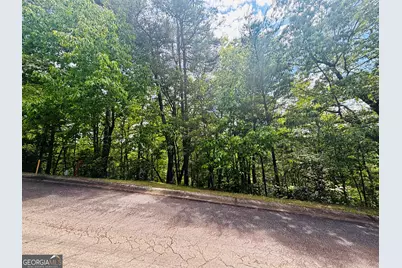 0 Rosen Strasse - Lot 141, Helen, GA 30545 - Photo 3