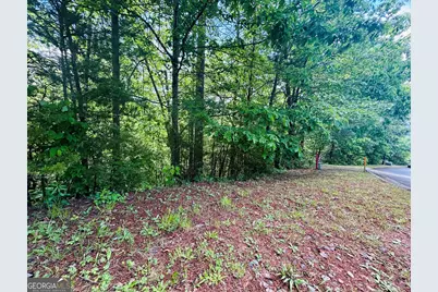 0 Rosen Strasse - Lot 141, Helen, GA 30545 - Photo 9