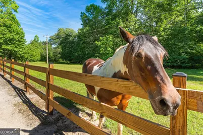 988 Woodland, Sautee Nacoochee, GA 30571 - Photo 51