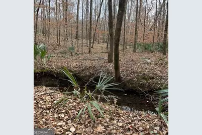 +/- 198 Acres Dennis Creek Road, Talbotton, GA 31827 - Photo 25