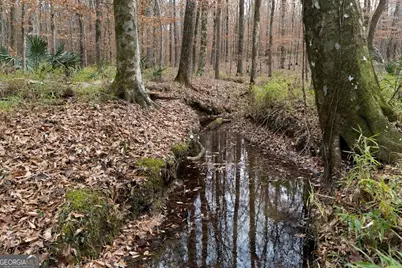 +/- 198 Acres Dennis Creek Road, Talbotton, GA 31827 - Photo 27