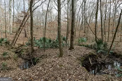 +/- 198 Acres Dennis Creek Road, Talbotton, GA 31827 - Photo 19
