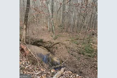 +/- 198 Acres Dennis Creek Road, Talbotton, GA 31827 - Photo 11