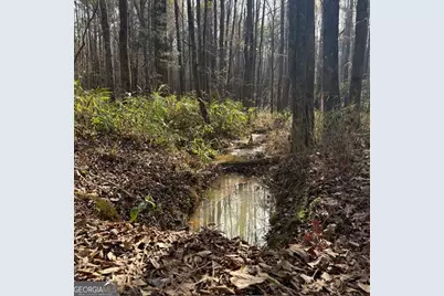 +/- 198 Acres Dennis Creek Road, Talbotton, GA 31827 - Photo 7