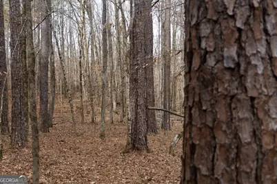 +/- 198 Acres Dennis Creek Road, Talbotton, GA 31827 - Photo 21