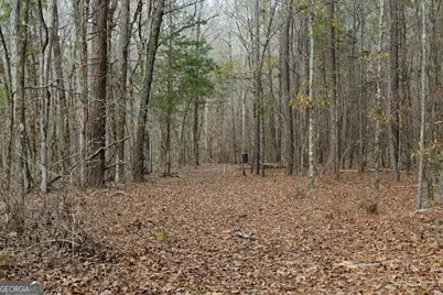 +/- 198 Acres Dennis Creek Road, Talbotton, GA 31827 - Photo 23