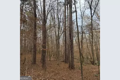 +/- 198 Acres Dennis Creek Road, Talbotton, GA 31827 - Photo 5