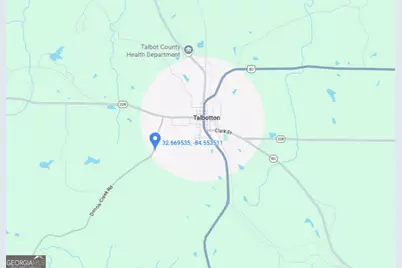 +/- 198 Acres Dennis Creek Road, Talbotton, GA 31827 - Photo 37