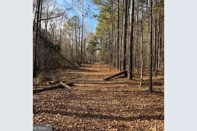 +/- 198 Acres Dennis Creek Road, Talbotton, GA 31827 - Photo 3
