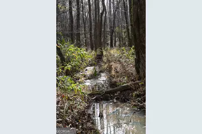 +/- 198 Acres Dennis Creek Road, Talbotton, GA 31827 - Photo 29